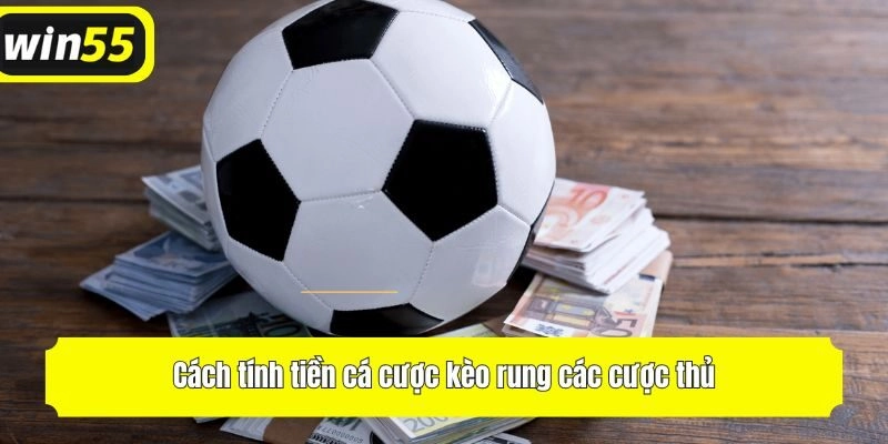 Cách tính tiền cá cược kèo rung các cược thủ