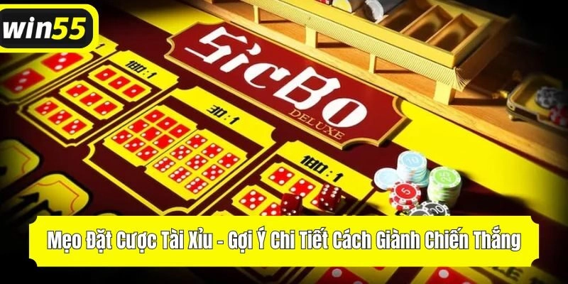 Mẹo Đặt Cược Tài Xỉu - Gợi Ý Chi Tiết Cách Giành Chiến Thắng