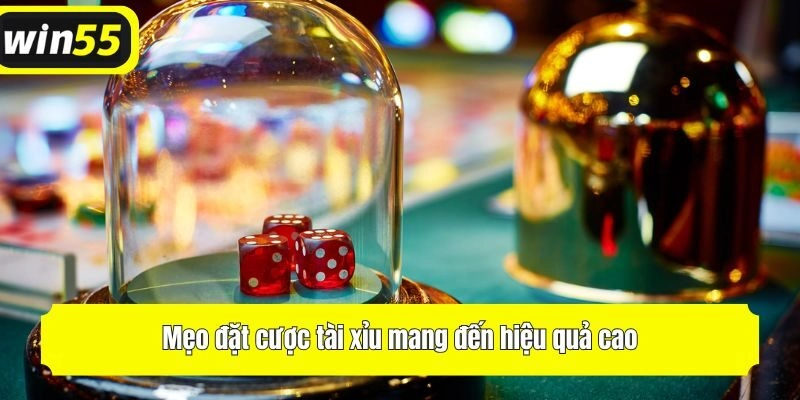 Mẹo đặt cược tài xỉu mang đến hiệu quả cao